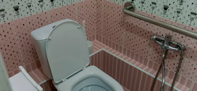 Meeting Diverse Needs With Accessible Restroom Solutions in Waukegan, IL